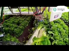 包装の7 Dofの腕の処理のKRのデルタのロボットのための頑丈なKukaのロボット腕システム